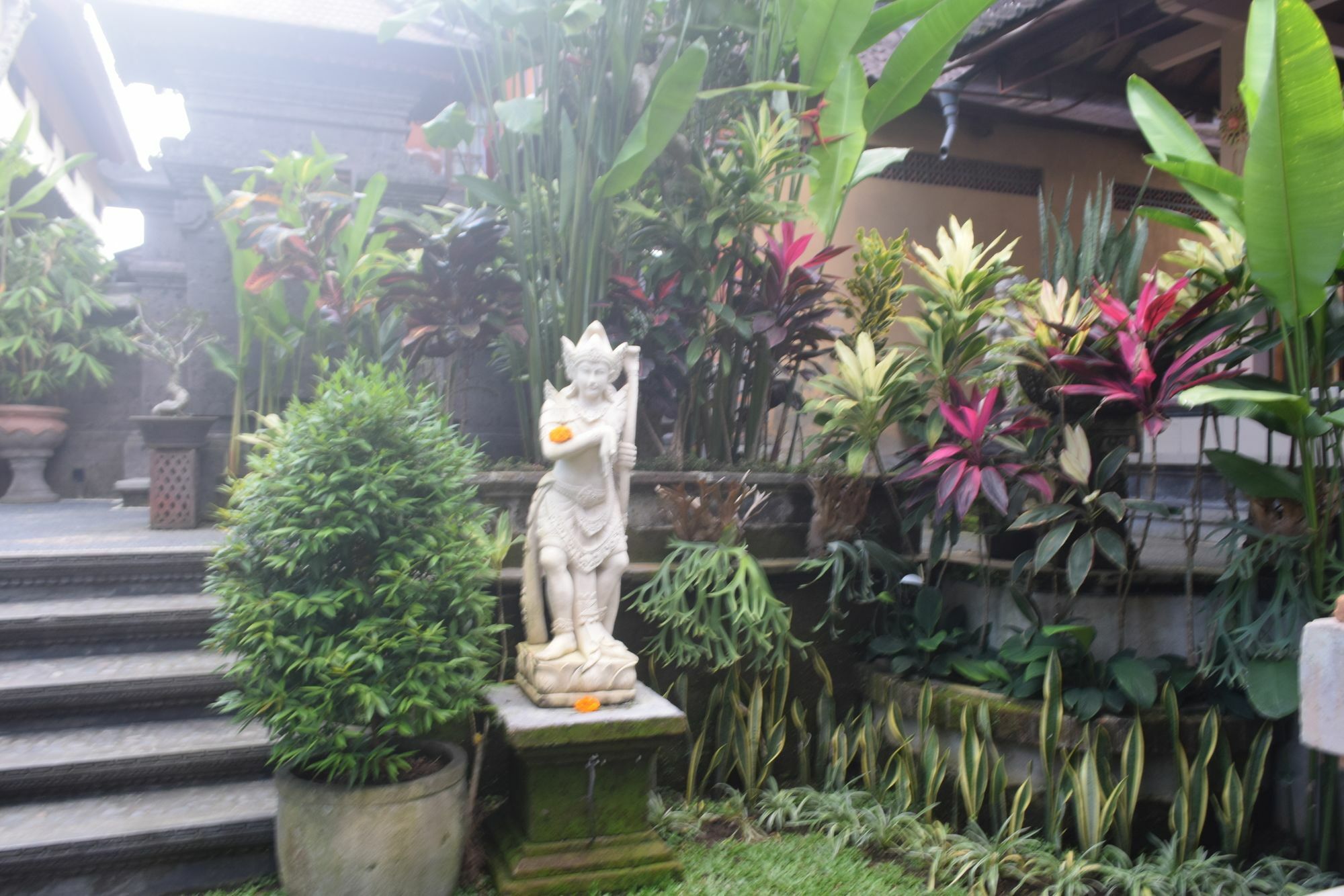 Hotel Aura Bisma Ubud Zewnętrze zdjęcie